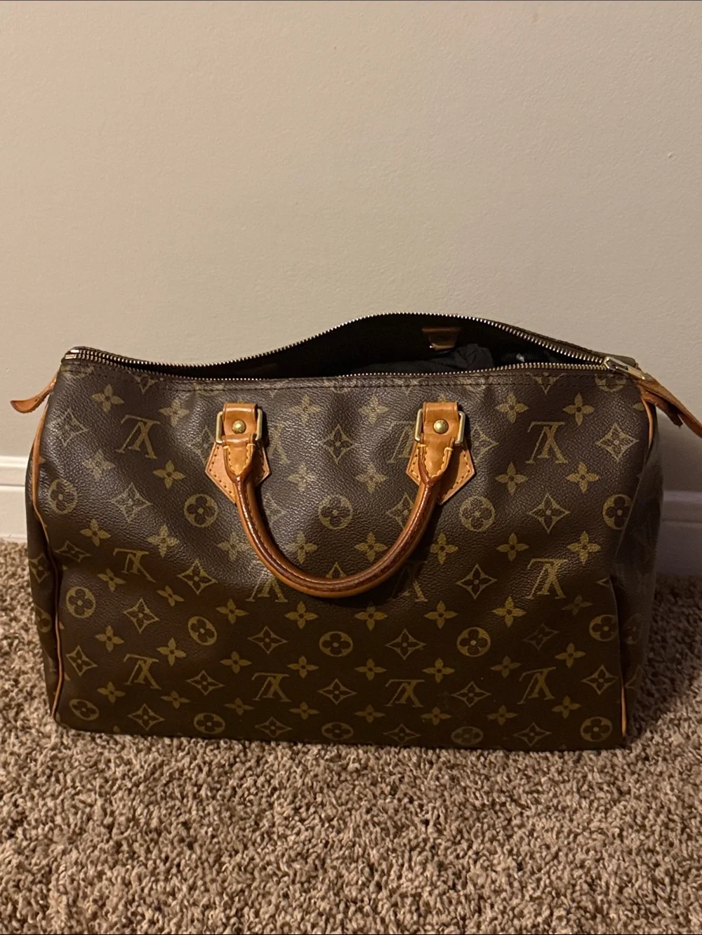 Louis Vuitton Monogram Canvas Speedy Tote in Brown and Tan